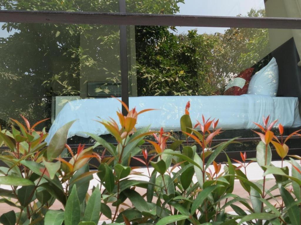 צ'יאנג מאי Haak Boutique Hotel מראה חיצוני תמונה